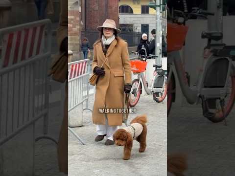 ELEGANT STREET FASHION OF MILAN 🇮🇹  #streetstyle #italianstreetstyle #milanstreetstyle