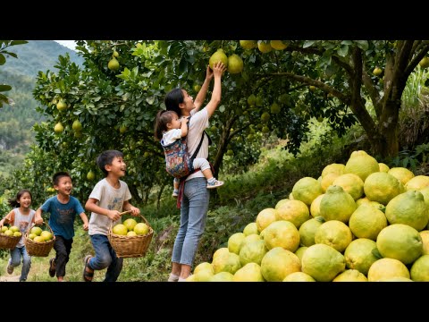 【一家七口隐居深山】山上的青皮红心柚翡翠金柚开园啦，孩子们超爱吃#农村生活#vlog#山居生活