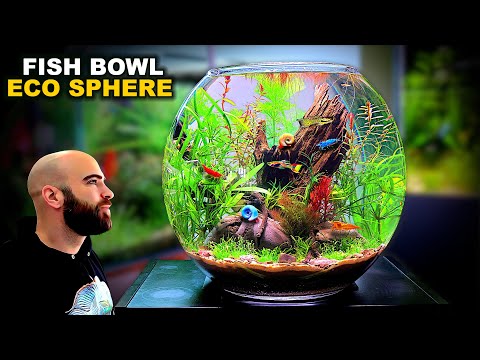 Eco Sphere Fish Bowl: AMAZING NO WATER CHANGE & No Filter Aquarium (AQUASCAPE TUTORIAL)