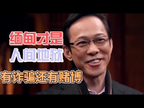 緬甸才是真正的人間地獄，除了電信詐騙還有賭博，甚至賣孩子去賭博 #圓桌派#窦文涛