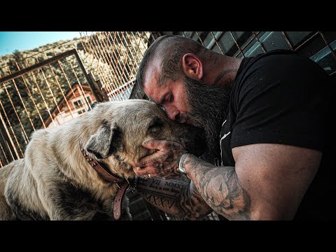 We freed a Kangal from its chain!