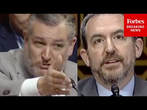 'How Did You Get To The Capitol Today?': Ted Cruz Shows No Mercy To Anti-Big Oil Witness