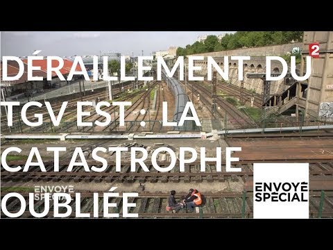 Envoyé spécial. Déraillement du TGV Est : la catastrophe oubliée - 9 nov. 2017 (France 2)