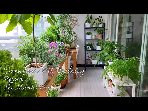 I moved to the veranda garden.