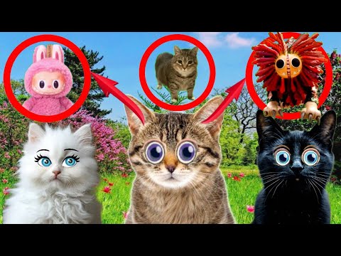 ВАШИ САМЫЕ ЛЮБИМЫЕ МЕМЫ! подряд 5 видео