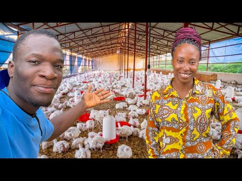She Started a Profitable Poultry Farm With 50 Chickens In Nigeria