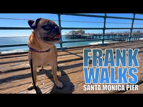 Frank Walks: The Santa Monica Pier