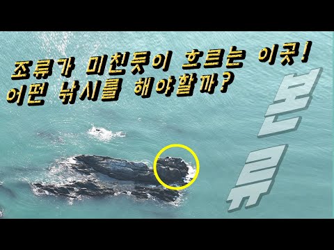 Should we burn the tributary rights where the birds are gurgling?