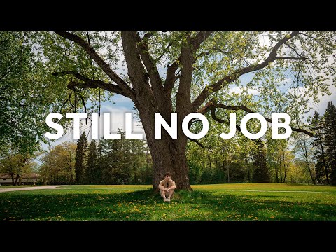 Life after a tech layoff: four months update