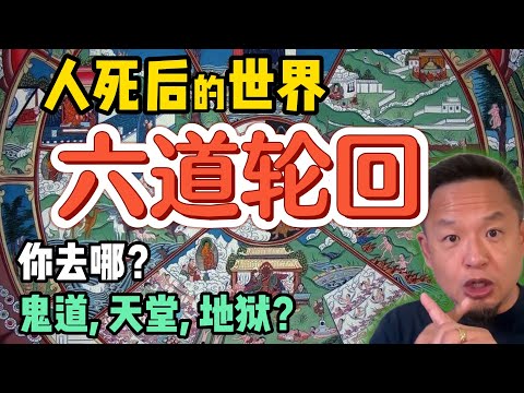 人死后会去哪里？真的有六道轮回！  | 业报随身！还要受惩罚？ |  为什么小孩子能看见鬼 |#玄学 #周易  #宗教 #道教 #命理