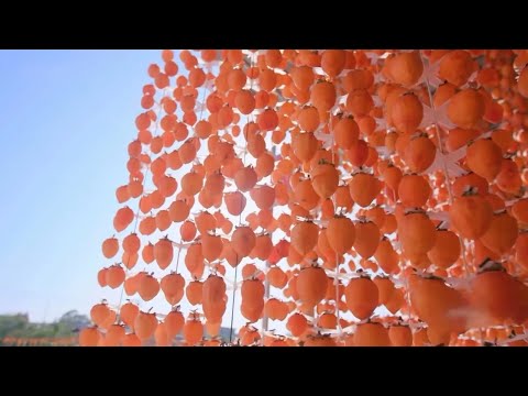 FuPing Dried Persimmon Production Process