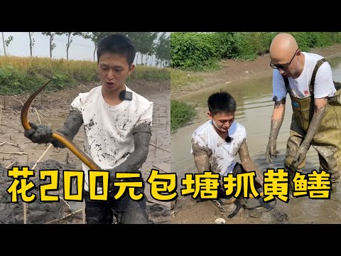 水猴子花200元包塘抓黄鳝，老板敢开价2000元到底能抓多少鳝鱼？