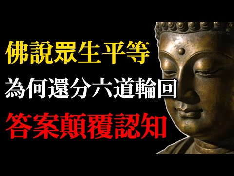 佛陀說「眾生平等」，為何還要分六道輪回？答案顛覆認知！#眾生平等#六道輪回#佛學智慧#佛教故事#心念造業#平等心修行#禪心之道#古老智慧#輪回真相#覺性覺醒#實用佛法