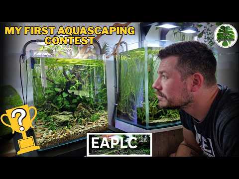 My EAPLC 2025 Aquascape Journey: Tank Overhaul to 16th Place