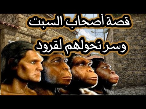 القوم الذين مسخهم الله قردة وخنازير! ولماذا مسخهم الله ﷻ !! وأين نسلهم الآن..!! قصة أصحاب السبت