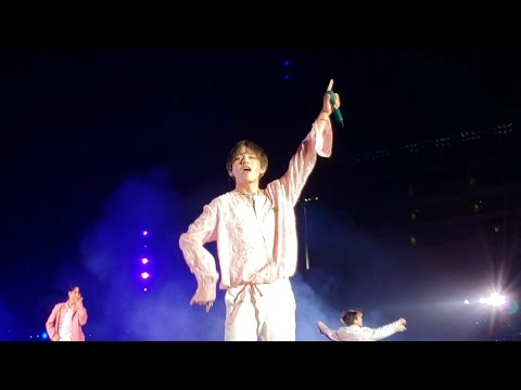 190504 Best of Me @ BTS 방탄소년단 Speak Yourself Tour in Rose Bowl Los Angeles Live Concert Fancam