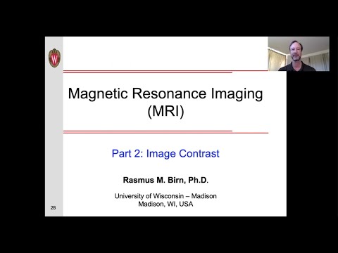 MRI Basics - Part 2: Image Contrast
