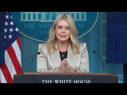 Karoline Leavitt PANICS when POUNDED with fact-check