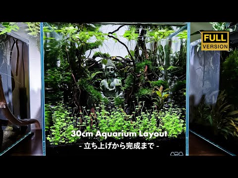 HOW TO BUILD A BEAUTIFUL AQUASCAPE - Deep in the forest -