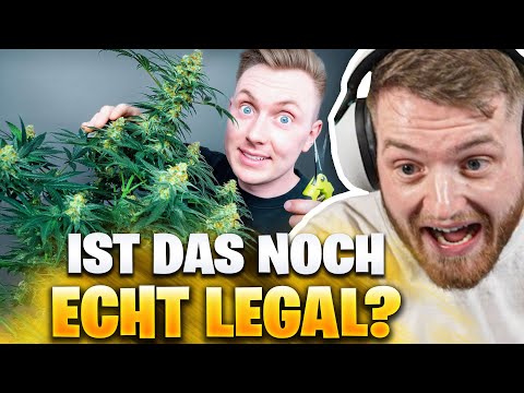 😳😂TOMATOLIX mit XXL PLANTAGE ZUHAUSE! | Trymacs Stream Highlights