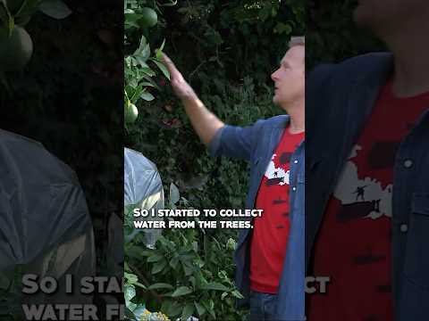 Where to Find Emergency Water You Already Have