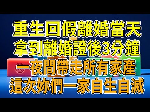 In my previous life  during the divorce cooling-off period  my husband persuaded me to fake a divor