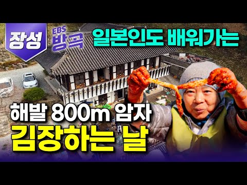 [전남 장성] 젓갈도 마늘도 안 들어가는데 맛있다고 늦가을이면 전 세계에서 김치 배우러 오는 사람들로 빼곡한 천진암 김장하는 날｜정관스님｜사찰음식｜#한국기행 #방방곡곡