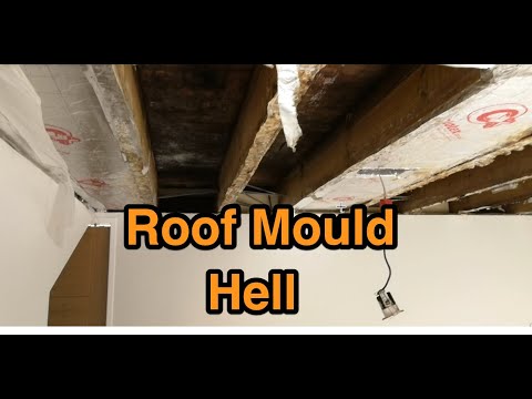 Flat roof mould and bad ventilation in a new cold flat roof over a loft dormer.