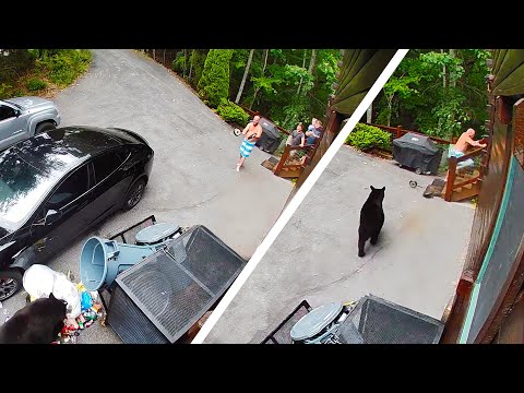 2025 TikTok Rewind 🔥 Most Viral Funny Videos of the Year