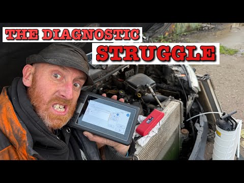 Old dog learning new tricks! The van Saga continues…… 