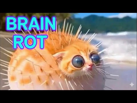 Brain Rot 🧠~ More Rotten Sloppy🫣🫨