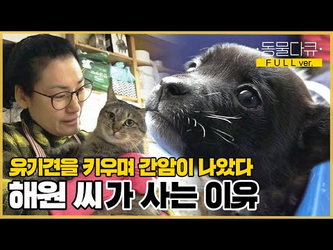 [풀버전] 유기견을 키우며 간암을 극복한 해원 씨, 차고지에서 만난 새끼 강아지들이 눈에 밟히는데.. | 내가 사는 이유 | KBS 인간극장 2018 방송