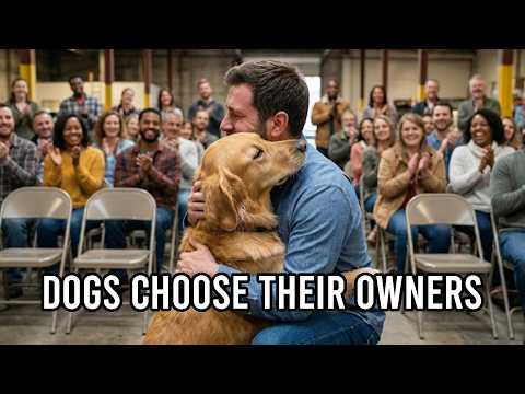 When Dogs Choose Who Adopts Them...