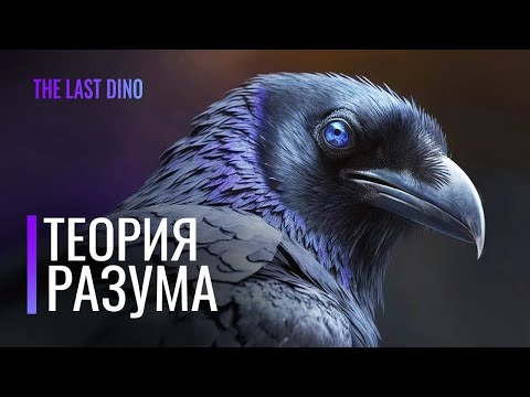 Биология самых умных птиц на планете  Чувство юмора и разум у Врановых