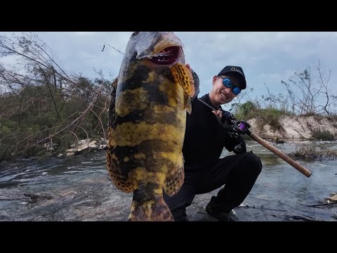 台风过后 ，探钓海南网红排水口标点。#原来钓鱼才是抖音运动顶流 #路亚野钓 #海钓
