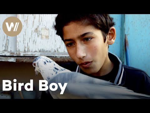 Azerbaijan's Bird Boy: How pigeons helped a young boy to find peace | Kids on the Silk Road (6/10)