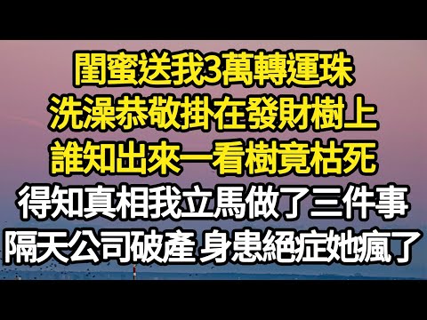 閨蜜送我3萬轉運珠，洗澡恭敬掛在發財樹上，誰知出來一看樹竟枯死，得知真相我立馬做了三件事，隔天公司破產 身患絕症她瘋了 #故事#悬疑#人性#刑事#人生故事#生活哲學#為人哲學
