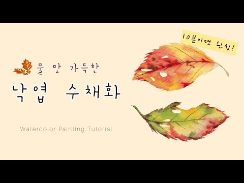 [ENG] 빠르게 그리는 낙엽 수채화🍂| 물 맛 가득한 수채화 번지기 | Watercolor Painting Tutorial🗒
