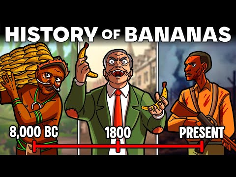 A Brief History of Banana Shenanigans