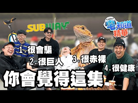 這集要素，也沒在少喔！｜6tan、鳥屎 Feat.達康.come、菜冠雙頭｜現在宅知道精華