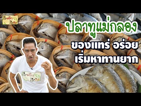 ปลาทูแม่กลอง ของแทร่อร่อย เริ่มหาทานยาก I ถึงพริกถึงขิง