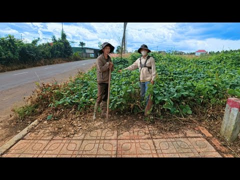 200m Sidewalk Transformation: Full Cleanup in One Epic Video