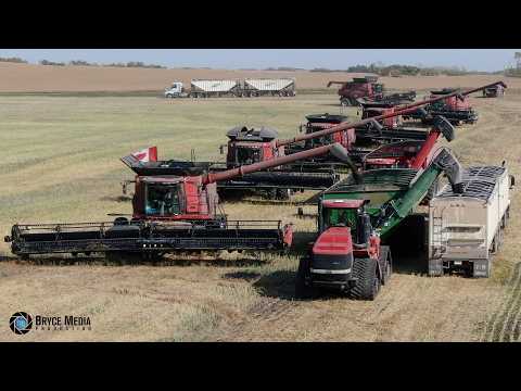 10x Case IH Mähdrescher & 2x Case 600 Quadtrac PART2- GIGA HARVEST PROJECT in Kanada- RED ArmyXXL