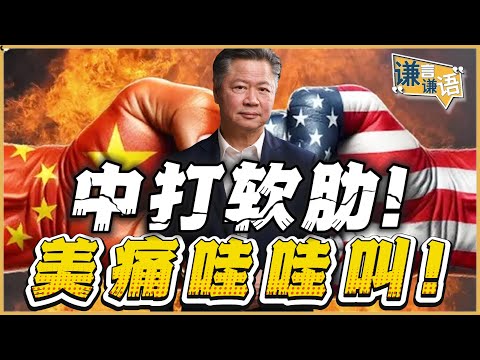 《谦言谦语》赖岳谦 公开版  | 中打软肋！美痛哇哇叫！