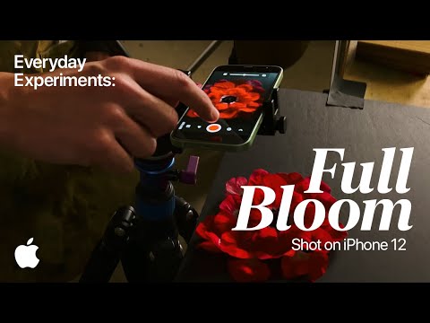 Shot on iPhone 12 | Everyday Experiments: Full Bloom | Apple
