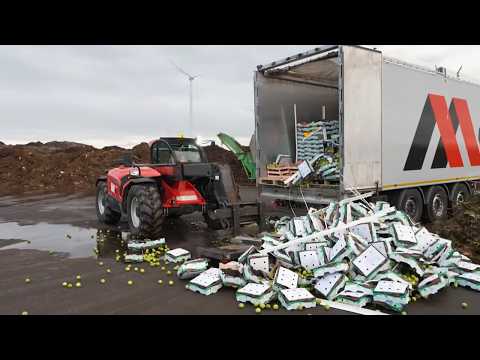 Fruits et légumes | La filière du Grand Gaspillage