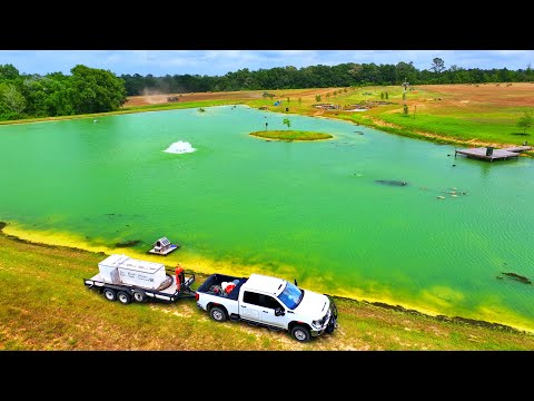 Adding 8,000 Fish to the 5 Acre Pond!