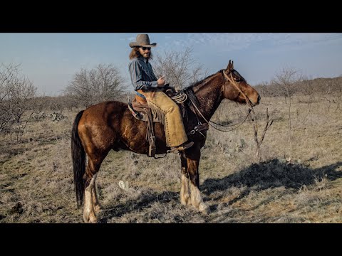 Dale Tries Ranching On A CLYDESDALE - Rodeo Time 328