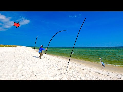 The Surf Fishing Bite is INSANE! (Instant Hookups!)