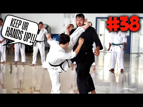 What I Learned from 50 Martial Arts